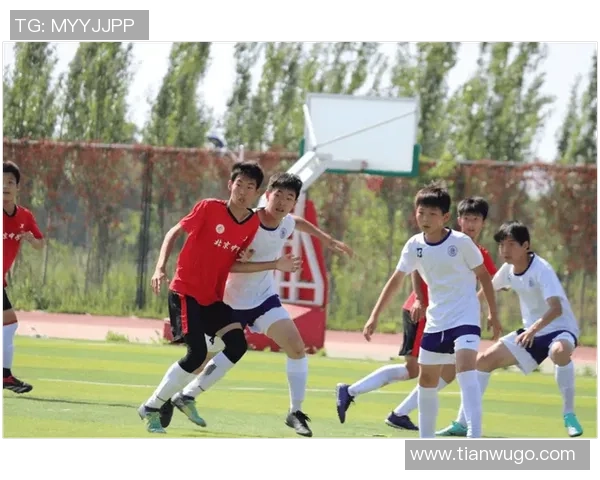 北京足球队配合分析：战术演变与球员默契的深度对比