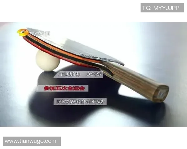 南京乒乓球队在全运会中的耐力表现分析与评价